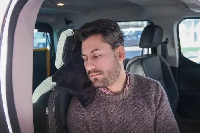 Découvrez les produits de la catégorie Coussins pour la tête et la nuque Handynamic