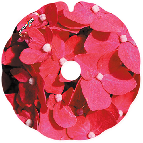 hortensia_rouge_flasque_fauteuil_roulant_02