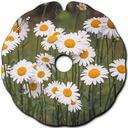 paquerettes_flasque_fauteuil_roulant_02