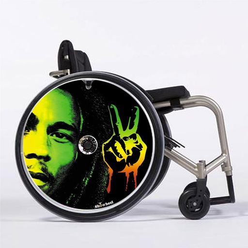 [FFR_reggae] Flasques Reggae