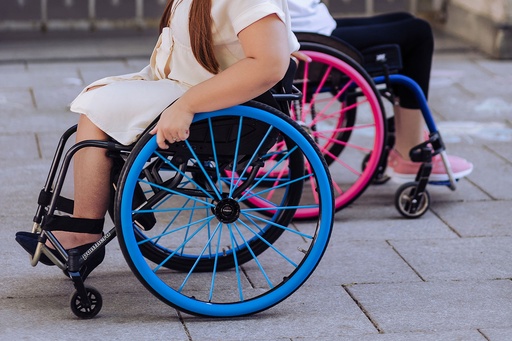 Seksi Spokes pour rayons de fauteuil